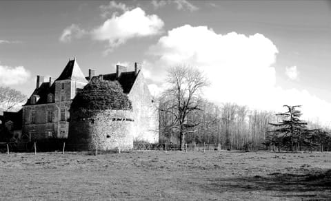 Couvreur Bouaye