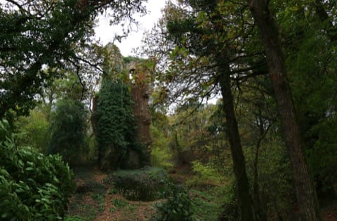 Couvreur Derval