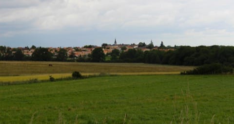 Couvreur Remouillé