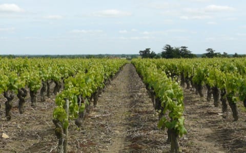 Couvreur Saint-Lumine-de-Clisson
